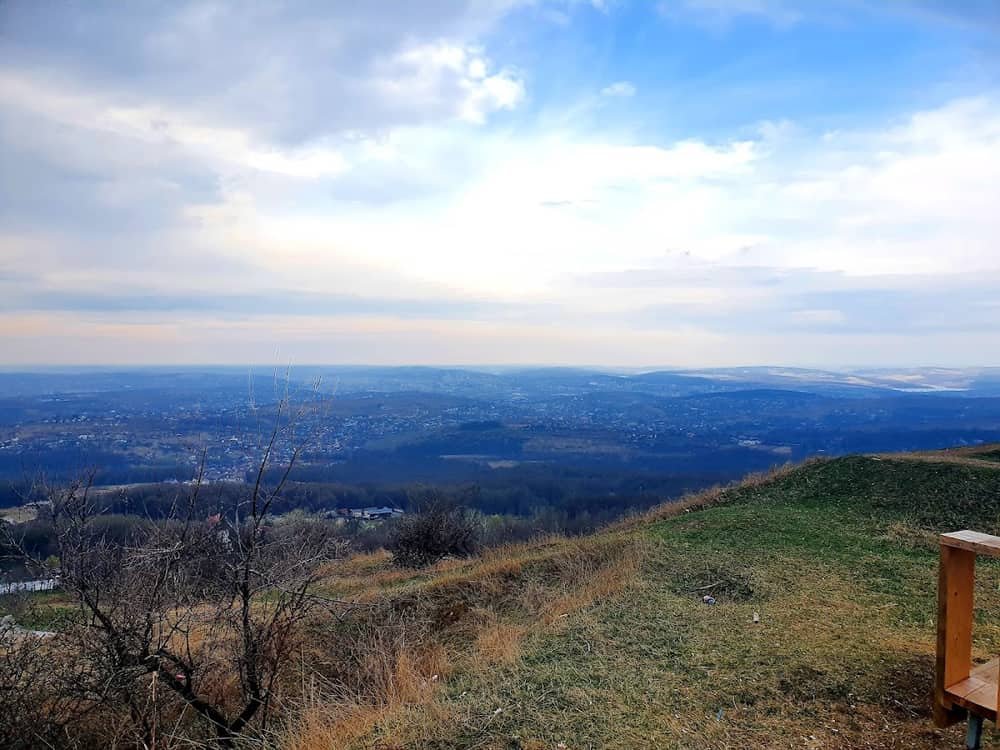 Rezervaţia Repedea — 2