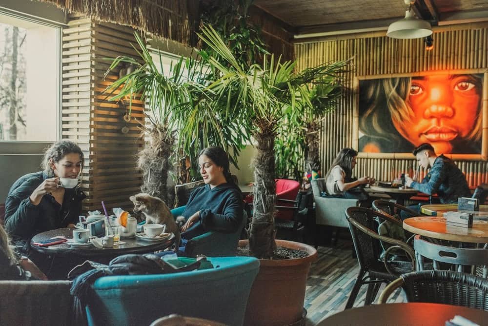 Tiki Bistro